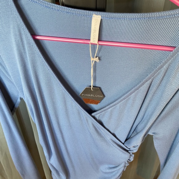 NEW Periwinkle Fitted Maternity/Nursing Dress - Picture 5 of 5